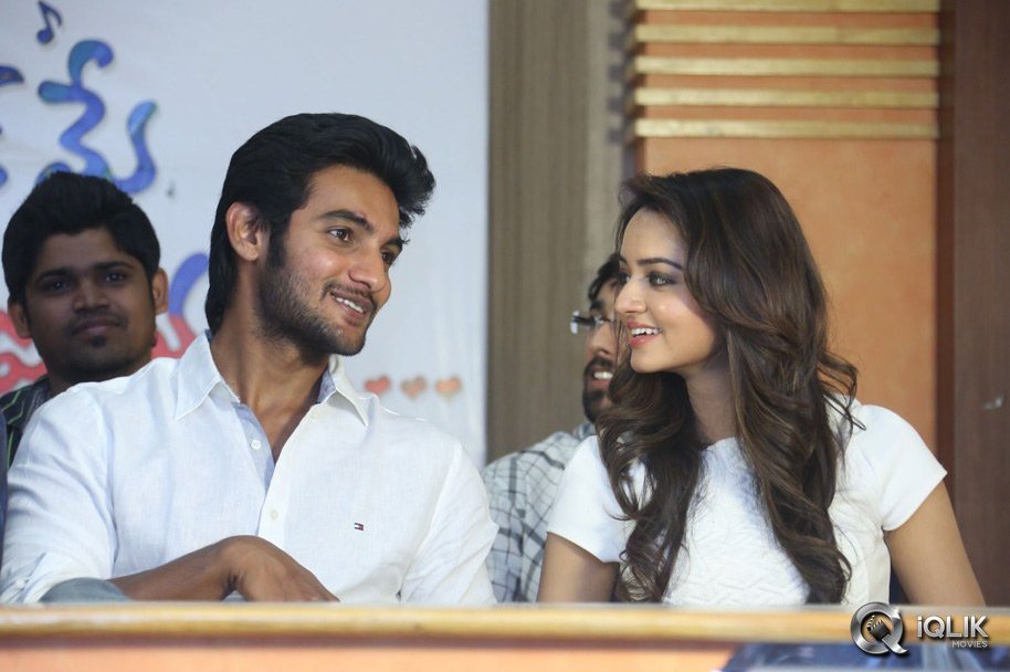 Pyaar-Mein-Padipoyane-Movie-Success-Meet